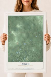 Map of Birch, Wisconsin, 18 x 24 inch print in a white wood frame
