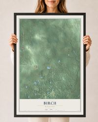 Map of Birch, Wisconsin, 24 x 36 inch print in a black wood frame