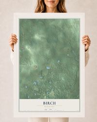 Map of Birch, Wisconsin, 24 x 36 inch print in a white wood frame