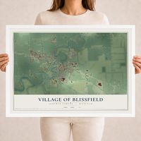 Map of Blissfield, Michigan, 18 x 24 inch print in a white wood frame