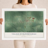 Map of Bloomingdale, Michigan, 18 x 24 inch print in a white wood frame