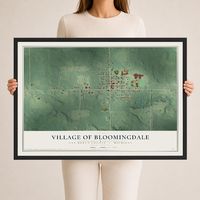 Map of Bloomingdale, Michigan, 24 x 36 inch print in a black wood frame