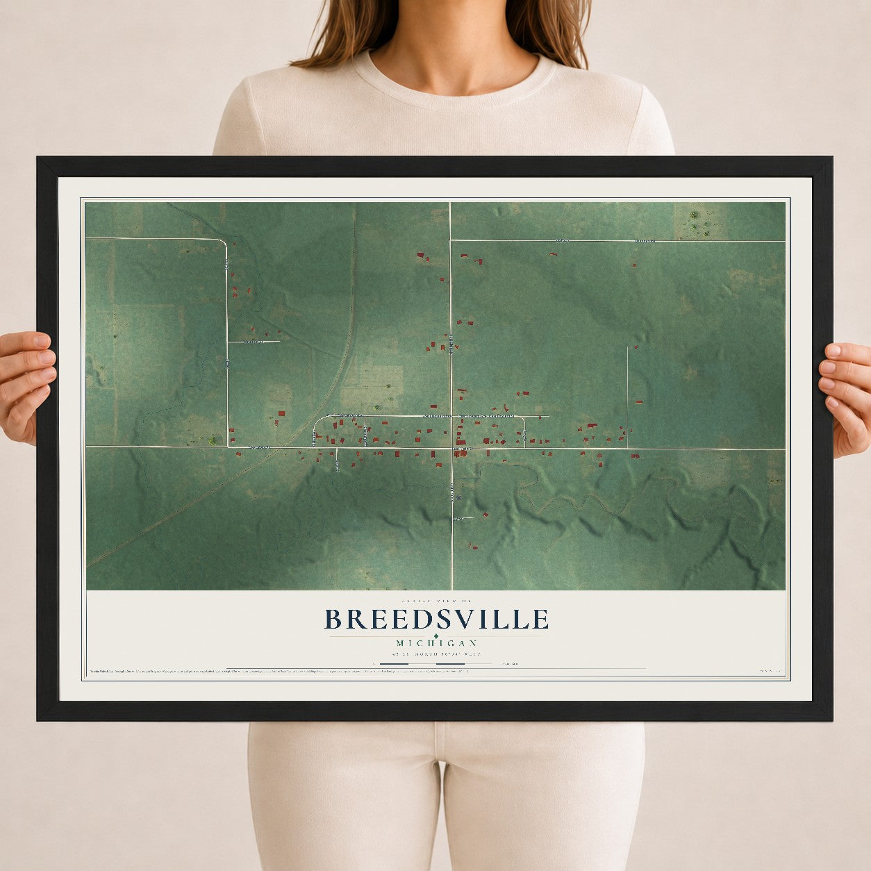 Map of Breedsville, Michigan, 18 x 24 inch print in a black wood frame