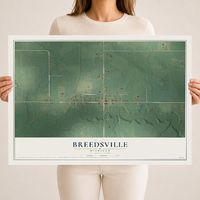Map of Breedsville, Michigan, 18 x 24 inch unframed archival matte print