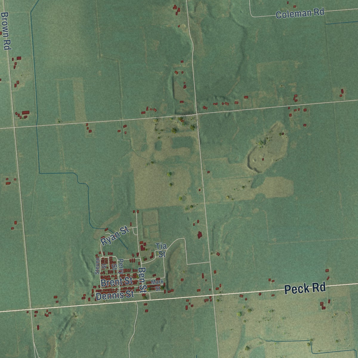 Close-up of the map of Buel, Michigan print showing street and building detail