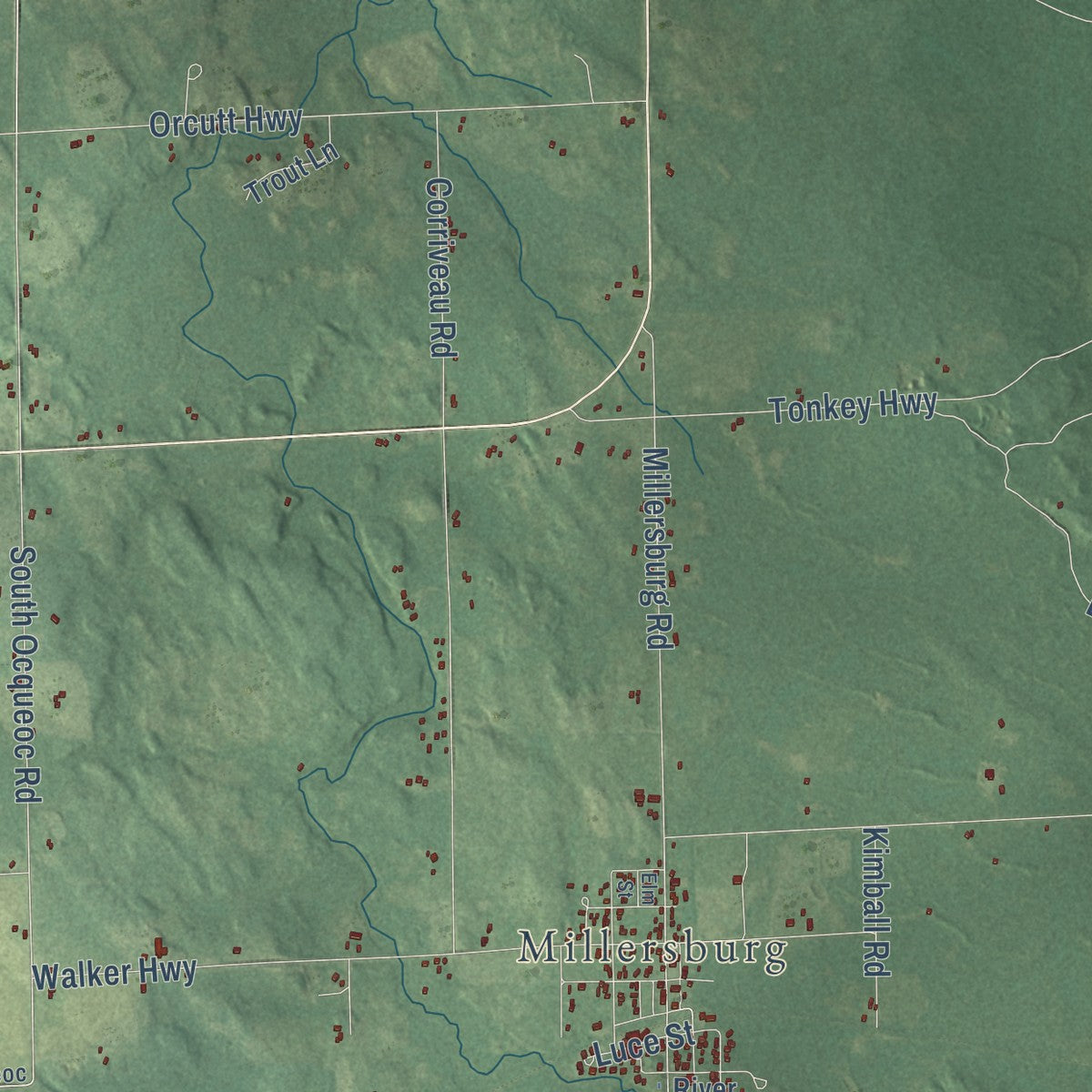 Second close-up of the map of Case, Michigan print showing more streets and buildings