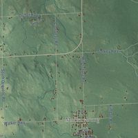 Second close-up of the map of Case, Michigan print showing more streets and buildings