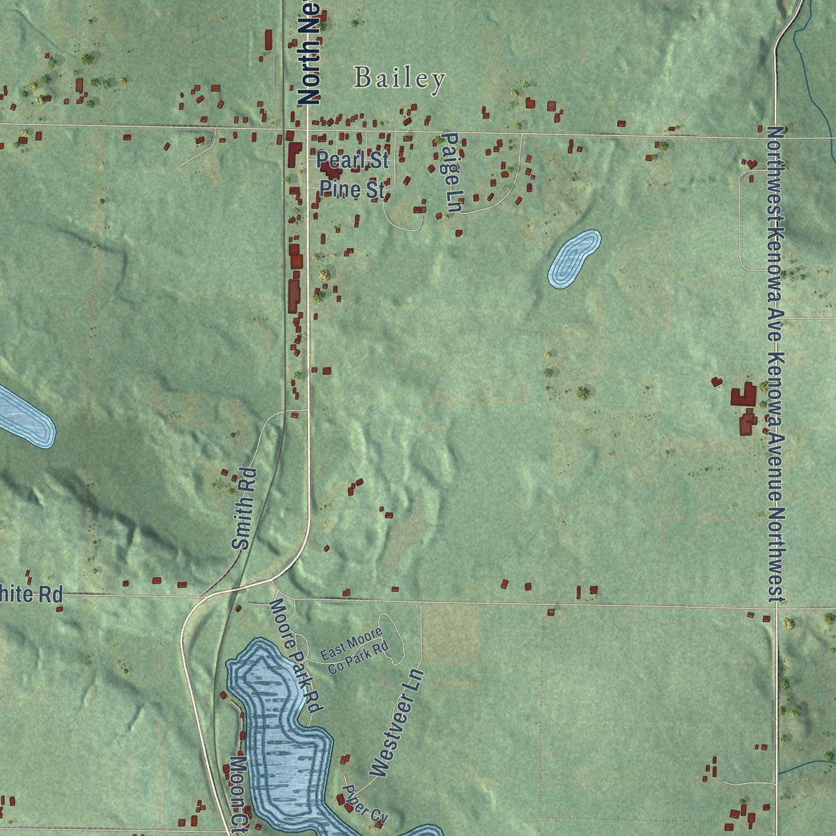 Close-up of the map of Casnovia, Muskegon County, Michigan print showing street and building detail