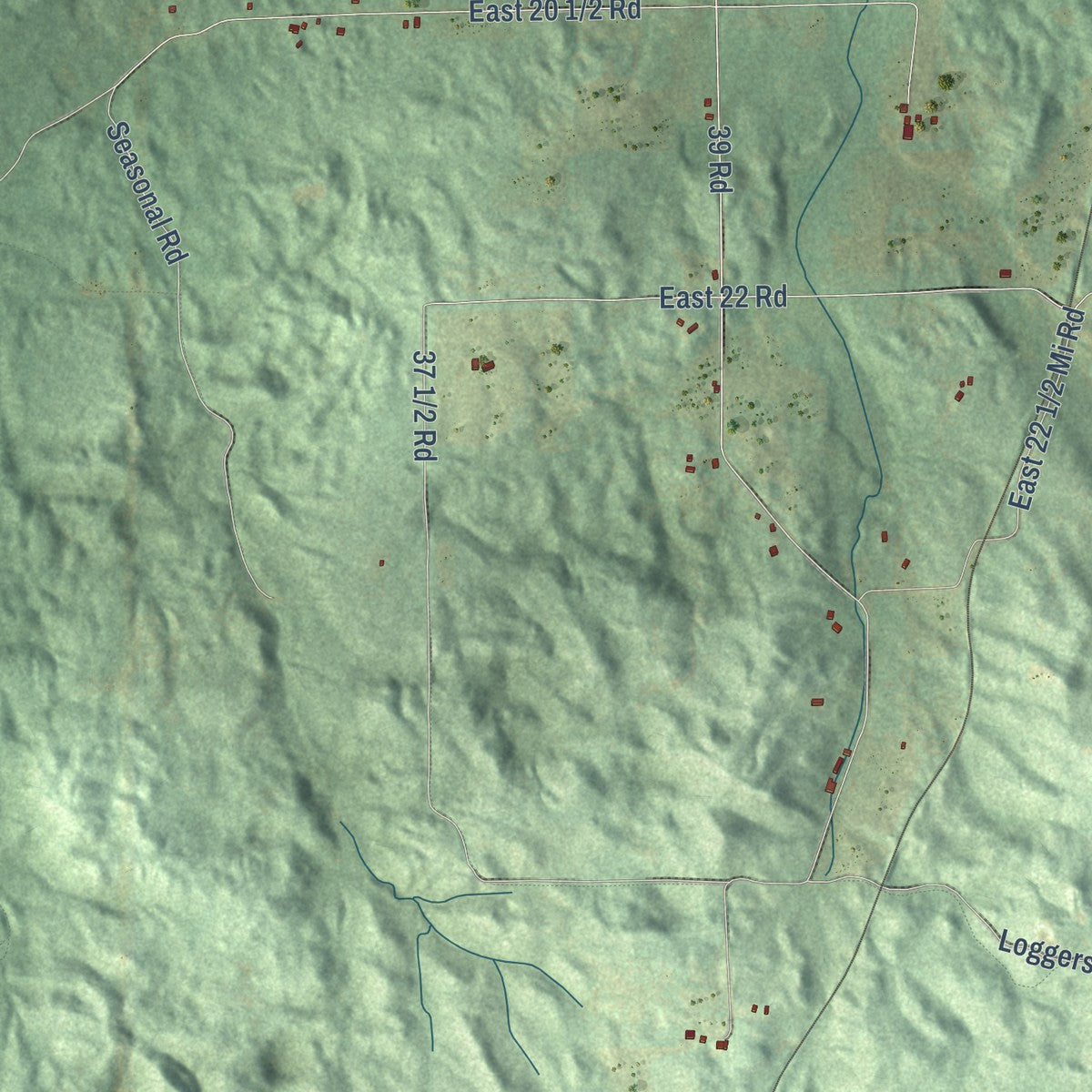 Second close-up of the map of Cedar Creek, Wexford County, Michigan print showing more streets and buildings