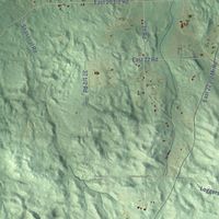 Second close-up of the map of Cedar Creek, Wexford County, Michigan print showing more streets and buildings