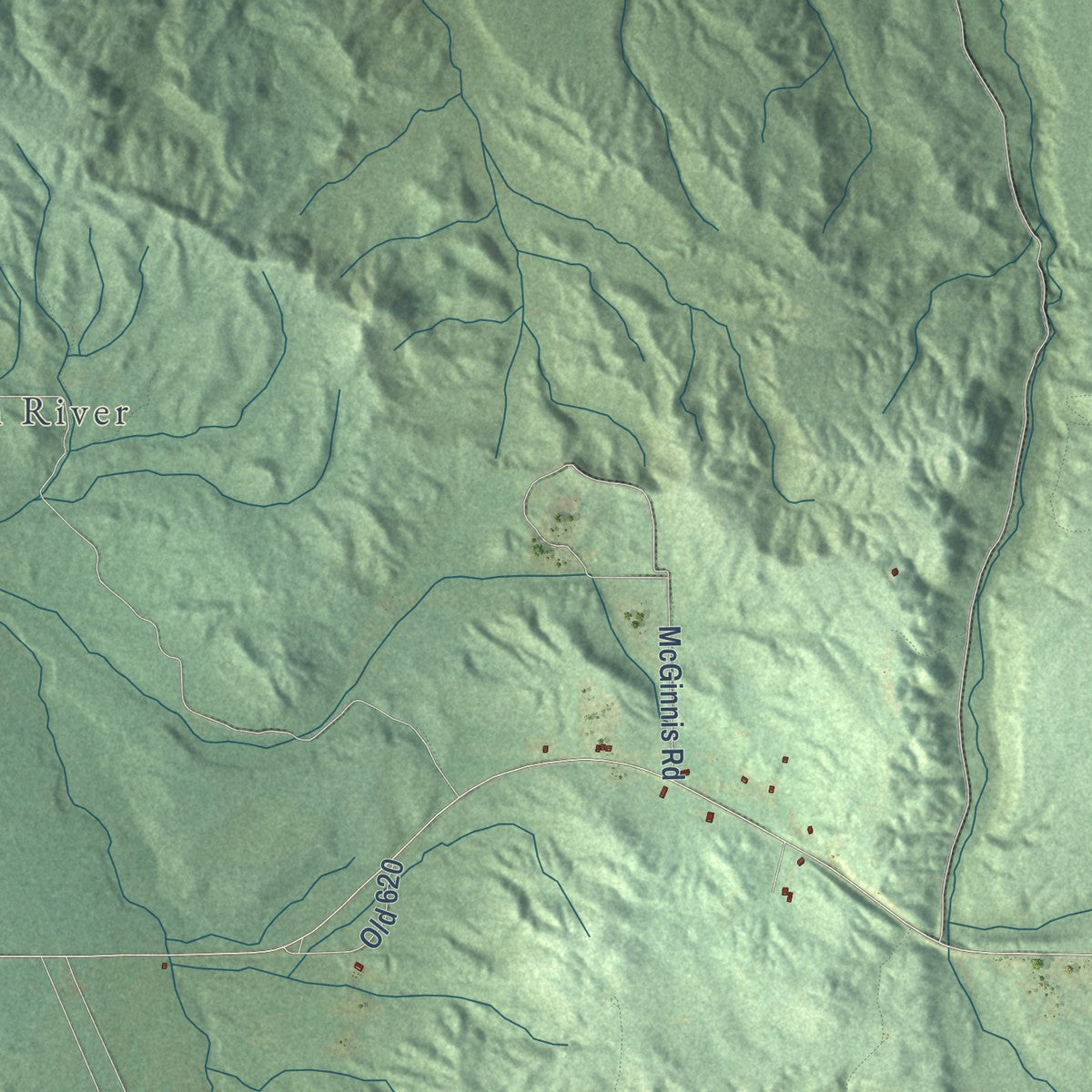 Close-up of the map of Chestonia, Michigan print showing street and building detail