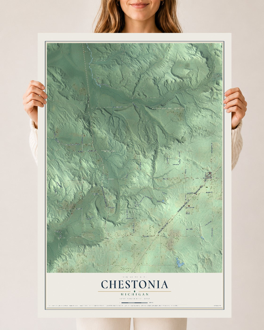 Map of Chestonia, Michigan, 24 x 36 inch unframed archival matte print