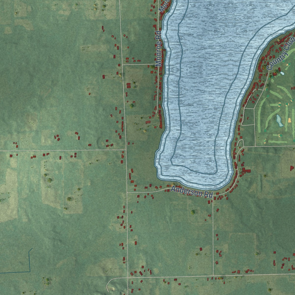 Close-up of the map of Clarence, Michigan print showing street and building detail