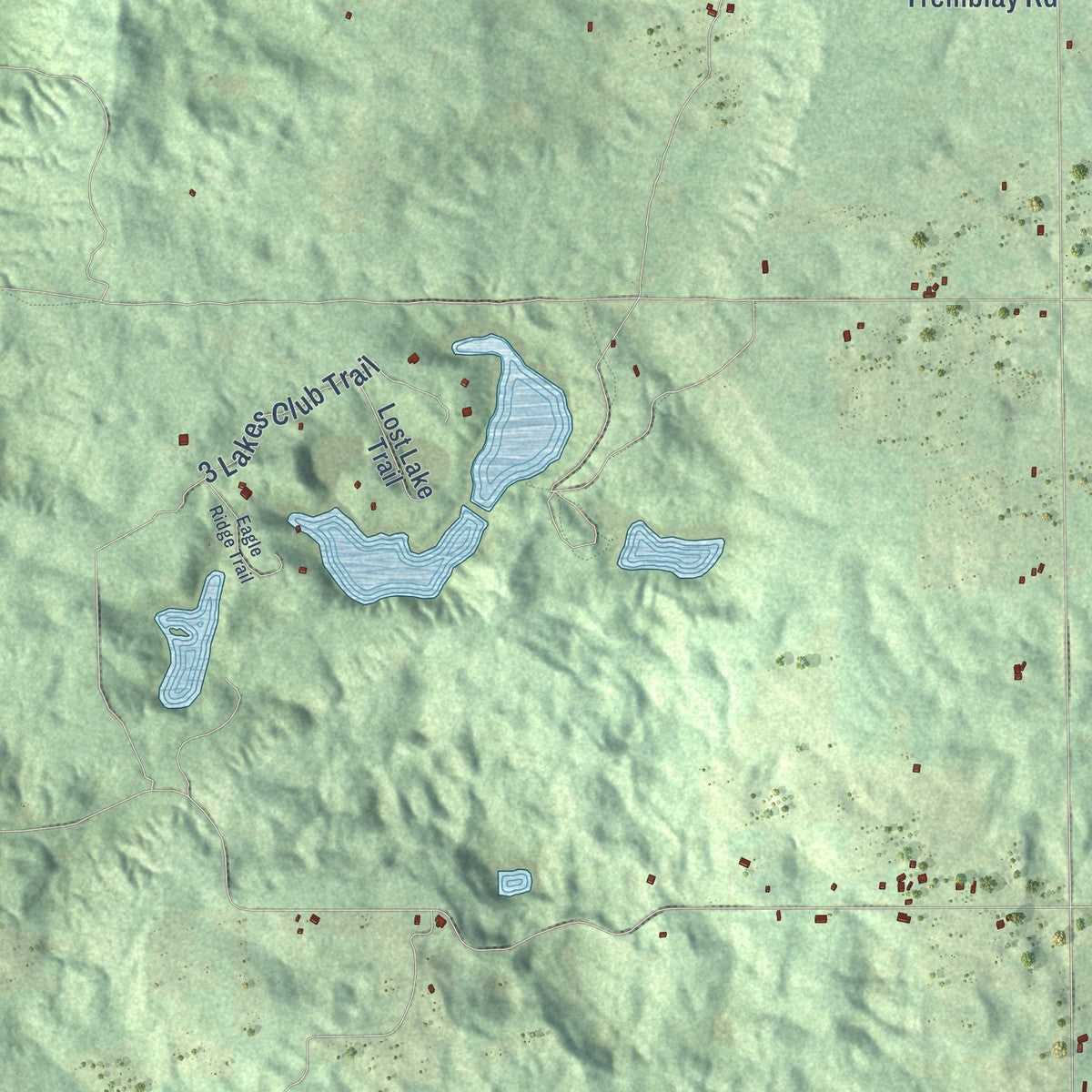 Close-up of the map of Custer, Antrim County, Michigan print showing street and building detail