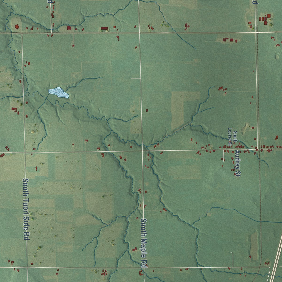 Close-up of the map of Dafter, Michigan print showing street and building detail