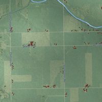 Second close-up of the map of Dallas, Michigan print showing more streets and buildings