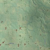 Second close-up of the map of Deerfield, Mecosta County, Michigan print showing more streets and buildings
