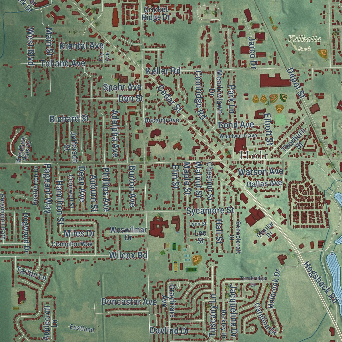 Close-up of the map of Delhi, Michigan print showing street and building detail