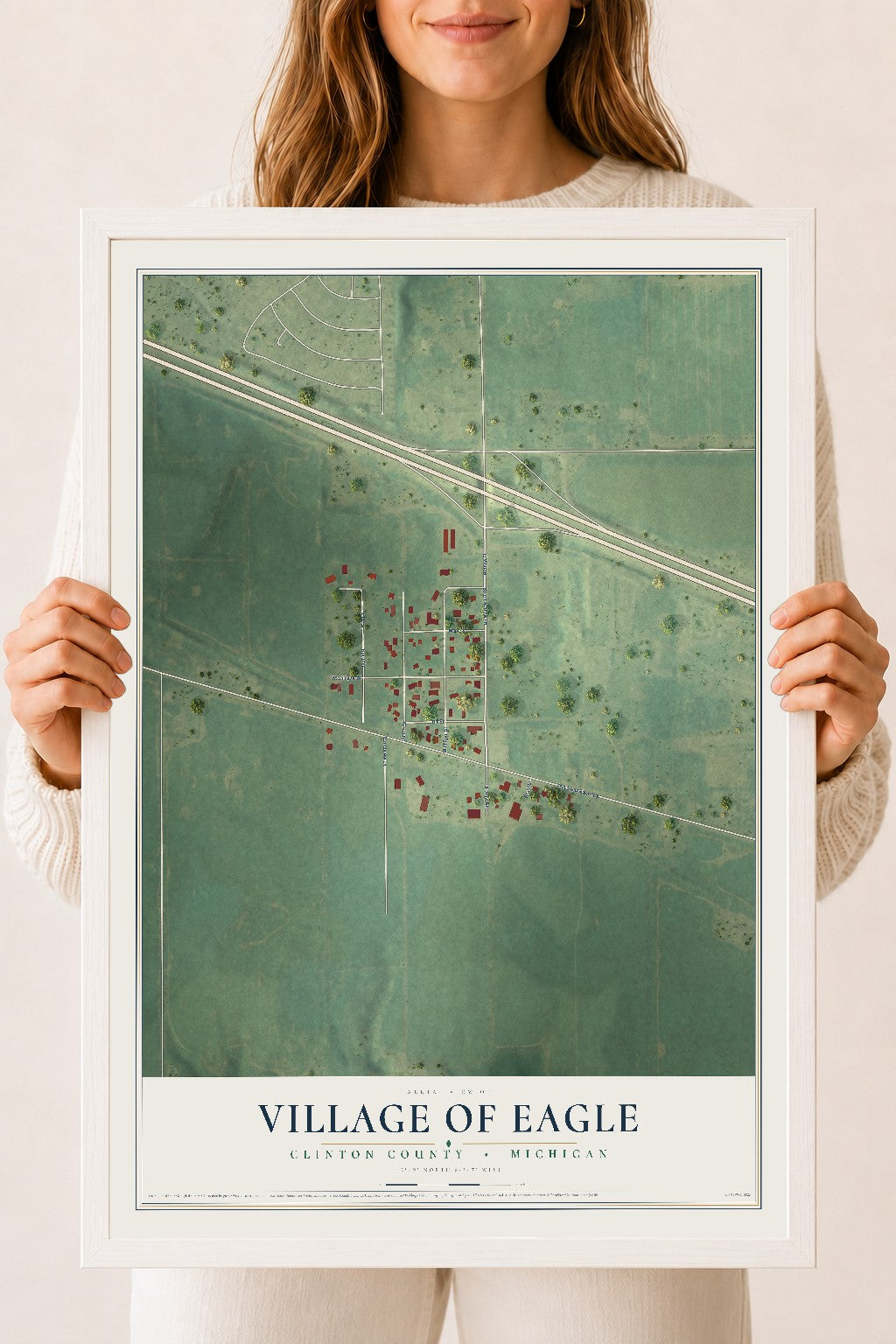 Map of Eagle, Michigan, 18 x 24 inch print in a white wood frame