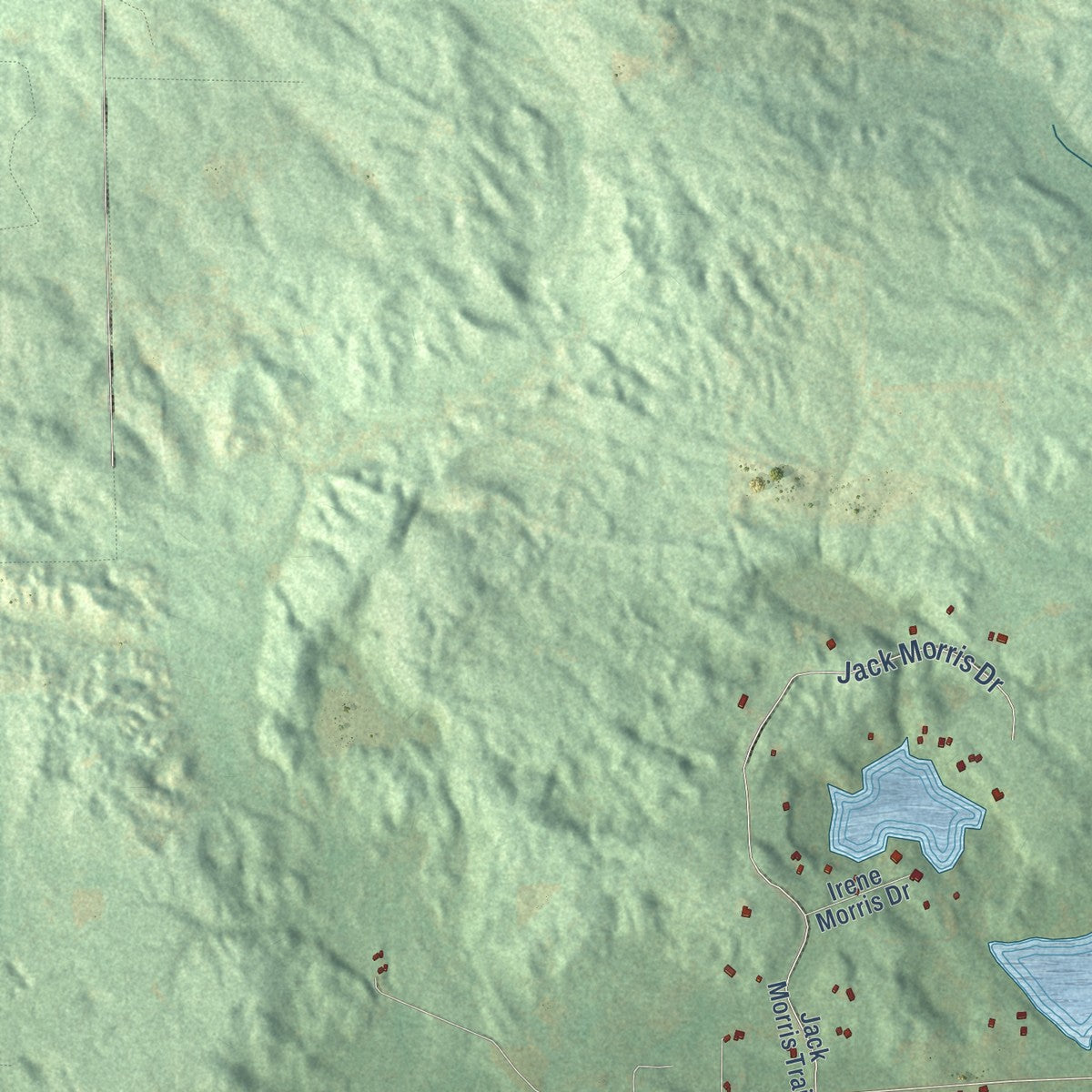 Close-up of the map of Edwards, Michigan print showing street and building detail