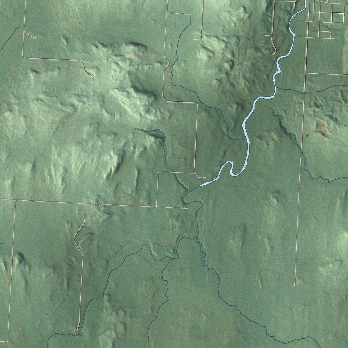Close-up of the map of Erwin, Michigan print showing street and building detail