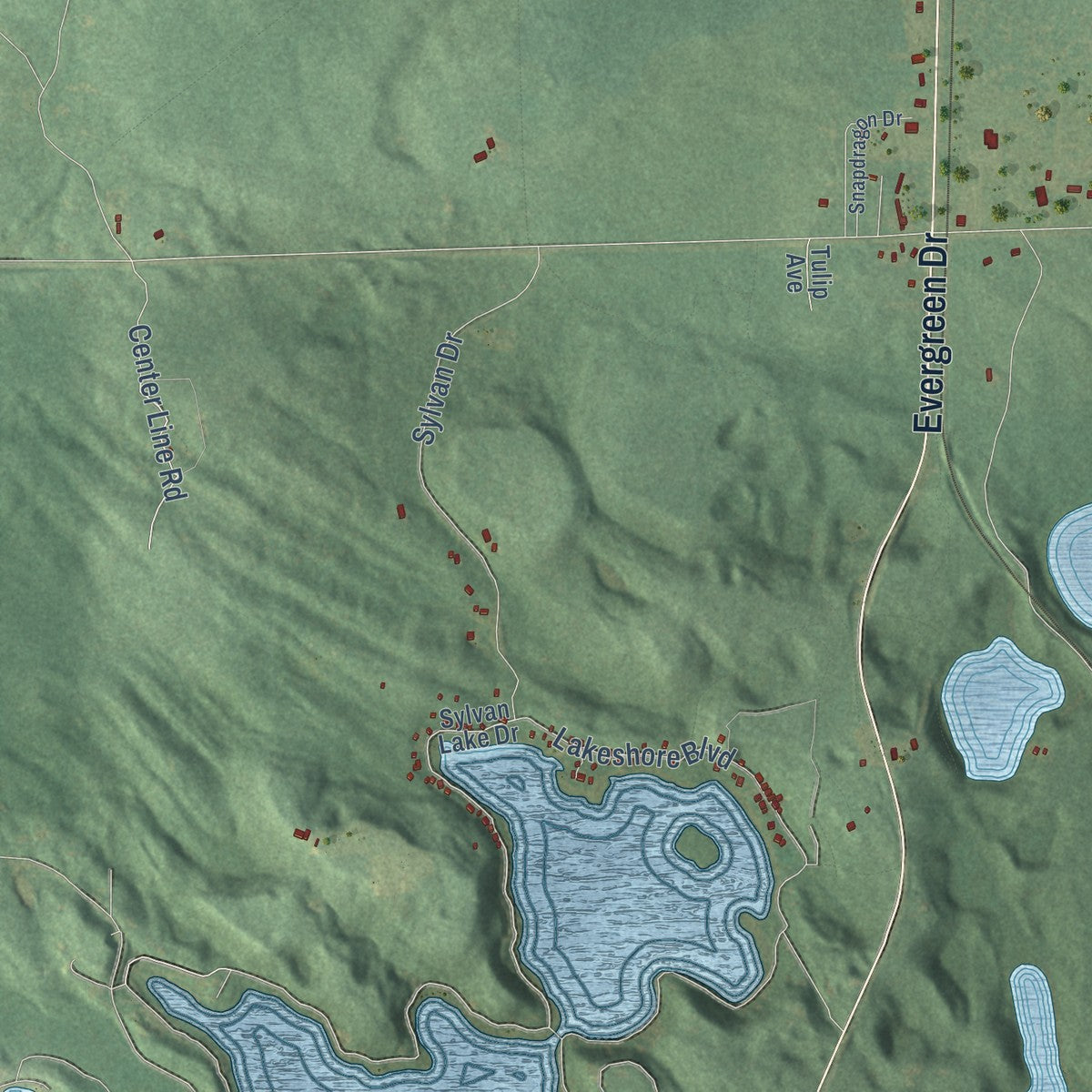 Close-up of the map of Everett, Michigan print showing street and building detail