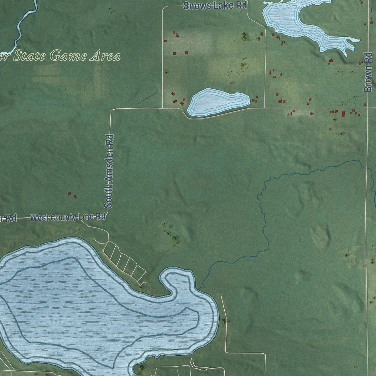 Close-up of the map of Fairplain, Michigan print showing street and building detail