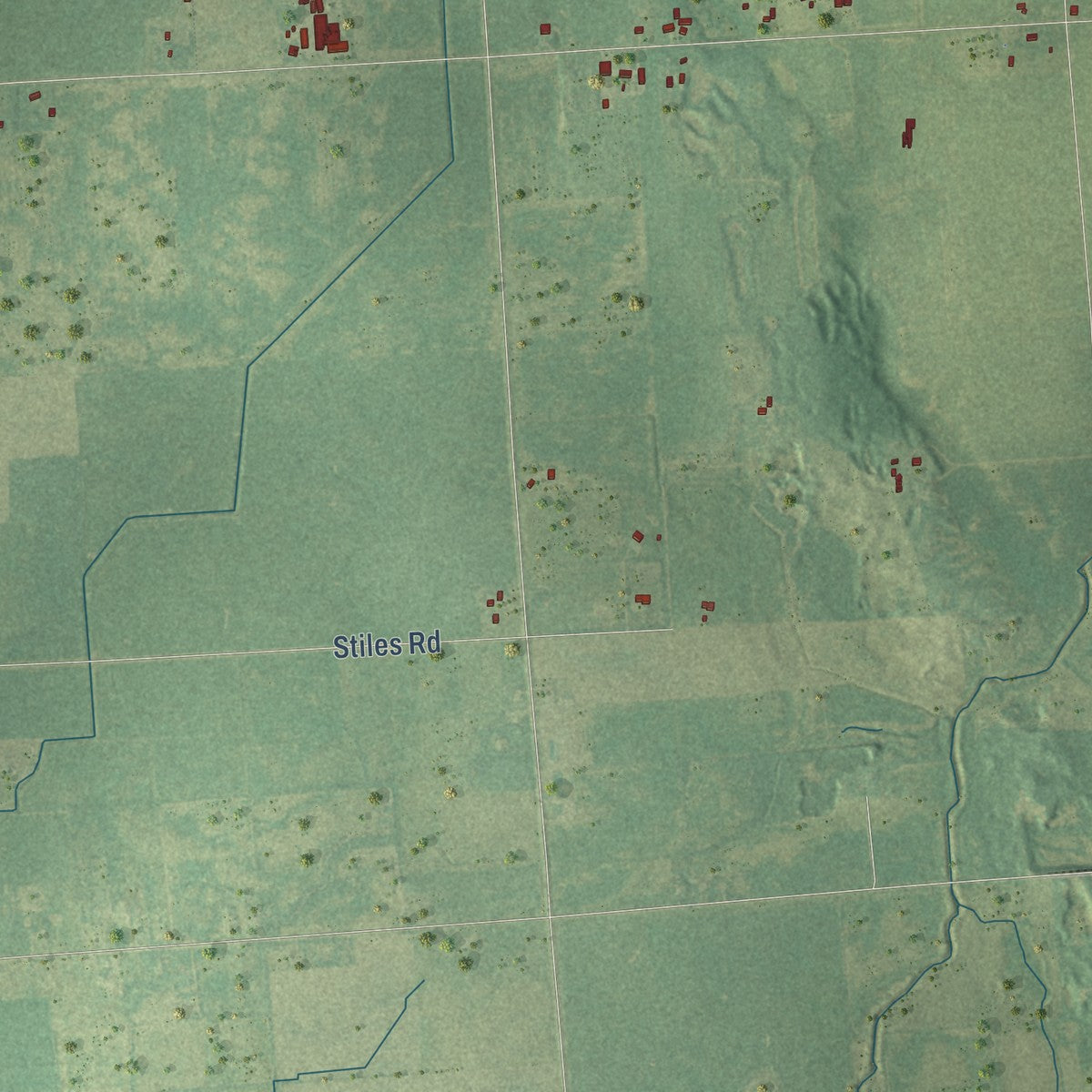 Close-up of the map of Flynn, Michigan print showing street and building detail