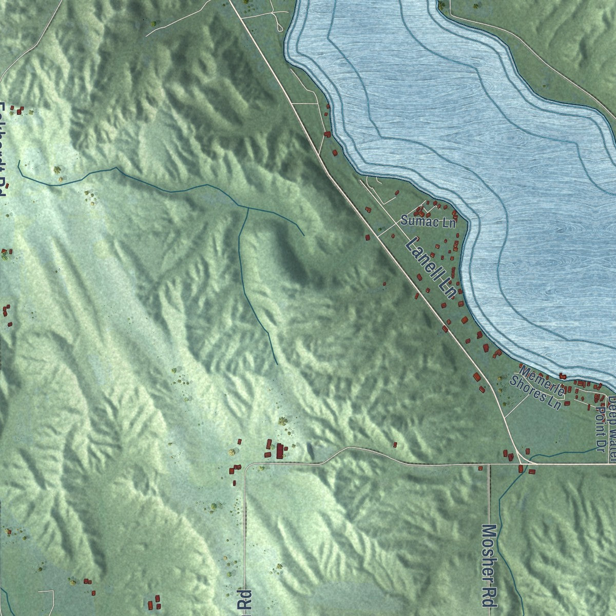 Close-up of the map of Forest Home, Michigan print showing street and building detail