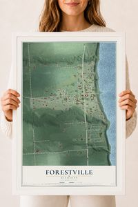 Map of Forestville, Michigan, 18 x 24 inch print in a white wood frame