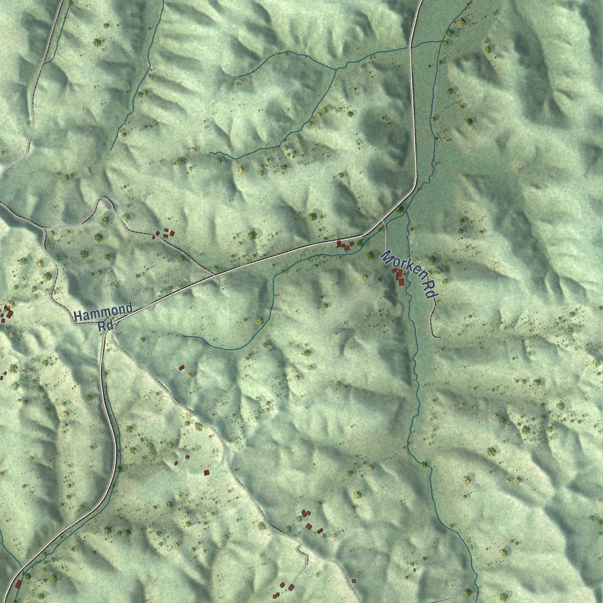 Close-up of the map of Franklin, Jackson County, Wisconsin print showing street and building detail
