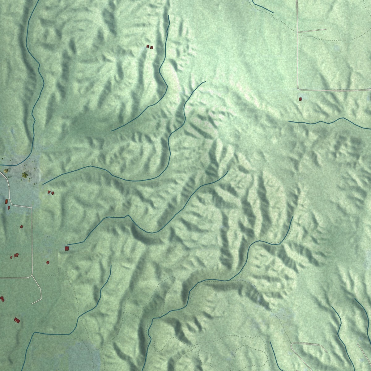 Close-up of the map of Friendship, Michigan print showing street and building detail
