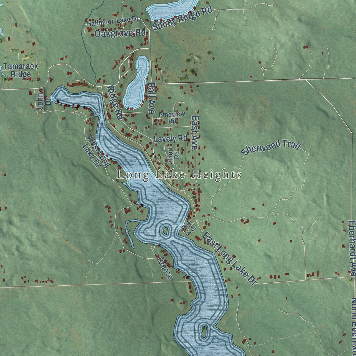 Close-up of the map of Frost, Michigan print showing street and building detail