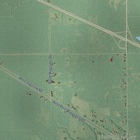 Close-up of the map of Geneva, Midland County, Michigan print showing street and building detail