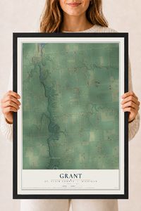 Map of Grant, St. Clair County, Michigan, 18 x 24 inch print in a black wood frame