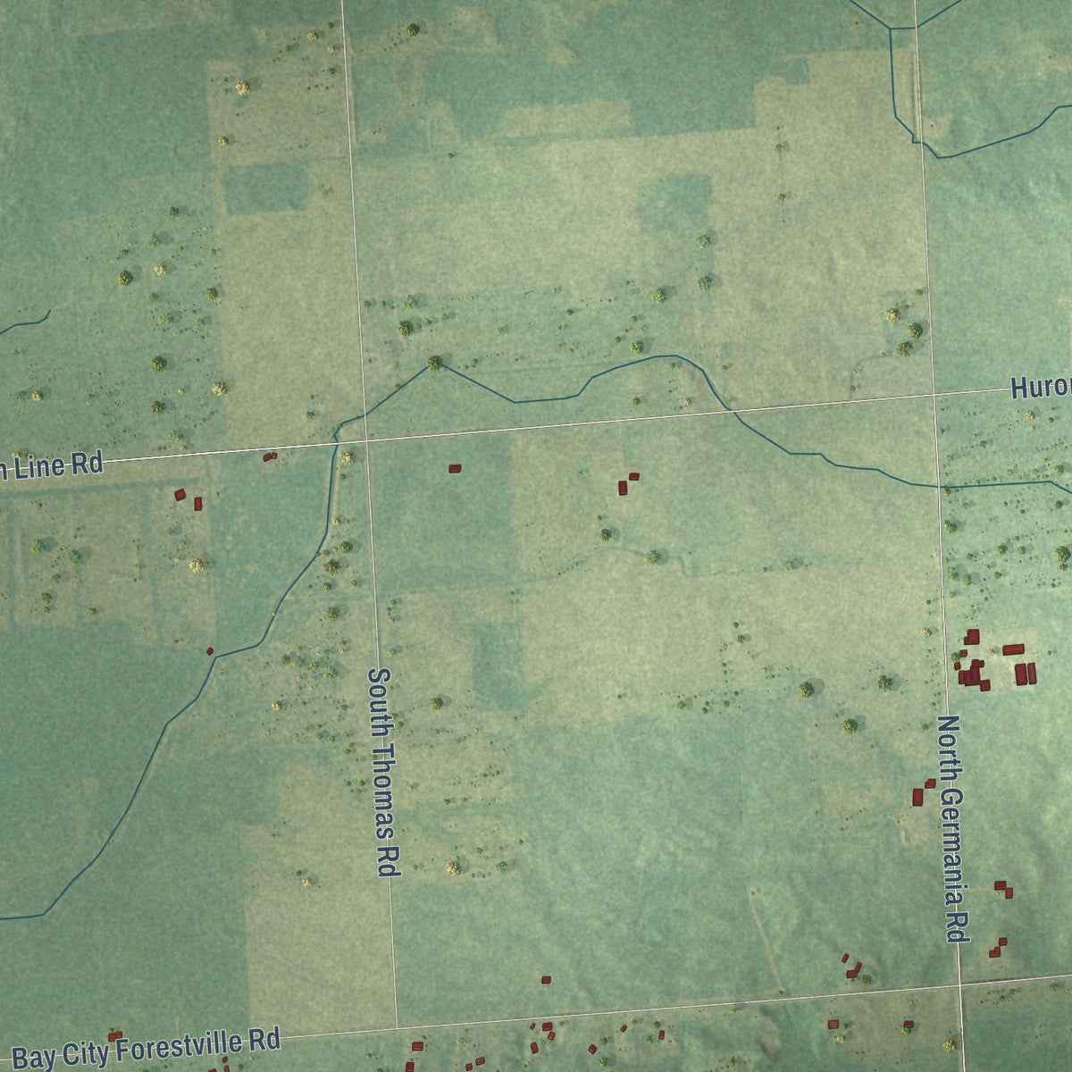 Close-up of the map of Greenleaf, Michigan print showing street and building detail