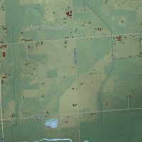 Second close-up of the map of Greenleaf, Michigan print showing more streets and buildings