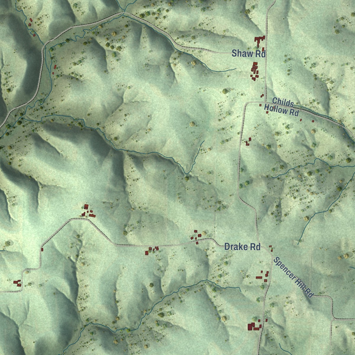 Close-up of the map of Haney, Wisconsin print showing street and building detail