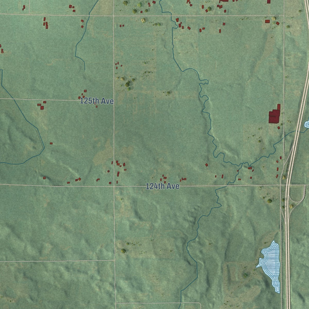 Second close-up of the map of Hopkins, Allegan County, Michigan print showing more streets and buildings