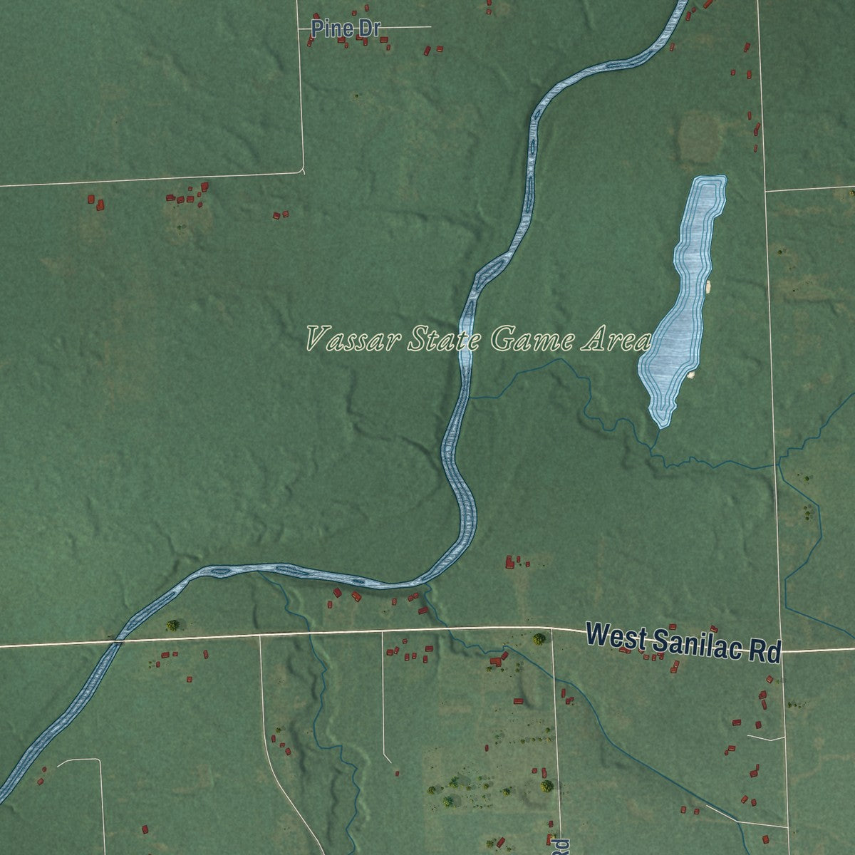 Close-up of the map of Juniata, Michigan print showing street and building detail