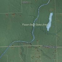 Close-up of the map of Juniata, Michigan print showing street and building detail