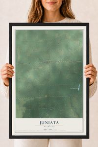 Map of Juniata, Michigan, 18 x 24 inch print in a black wood frame