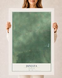 Map of Juniata, Michigan, 24 x 36 inch print in a white wood frame