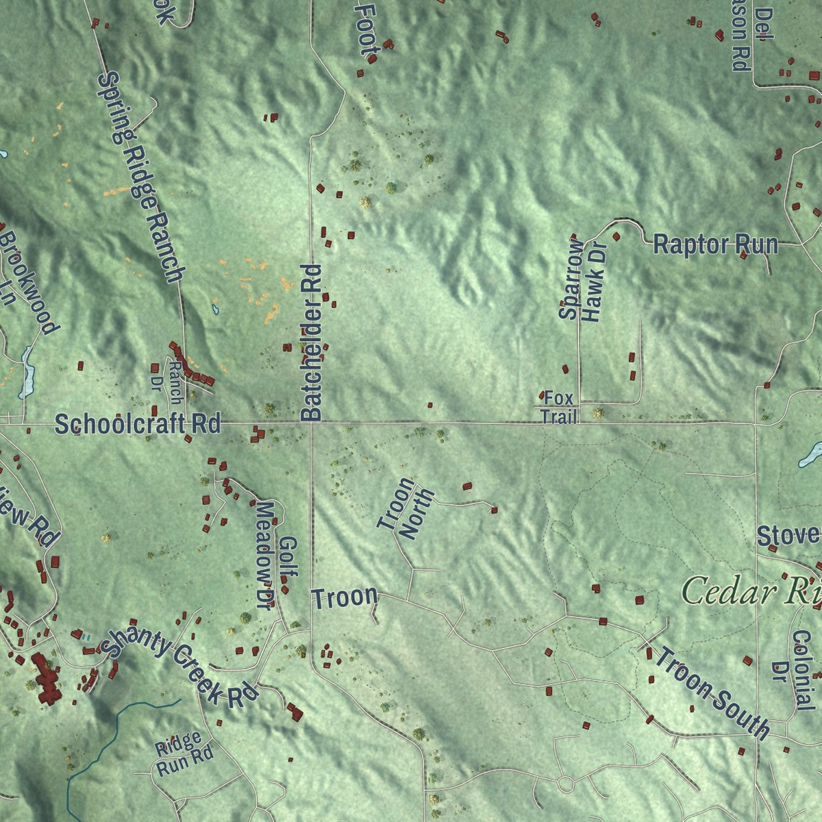 Close-up of the map of Kearney, Michigan print showing street and building detail