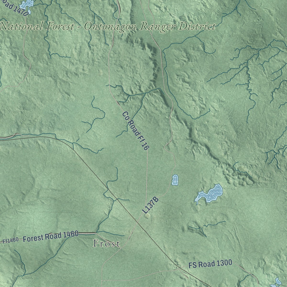 Second close-up of the map of Laird, Michigan print showing more streets and buildings