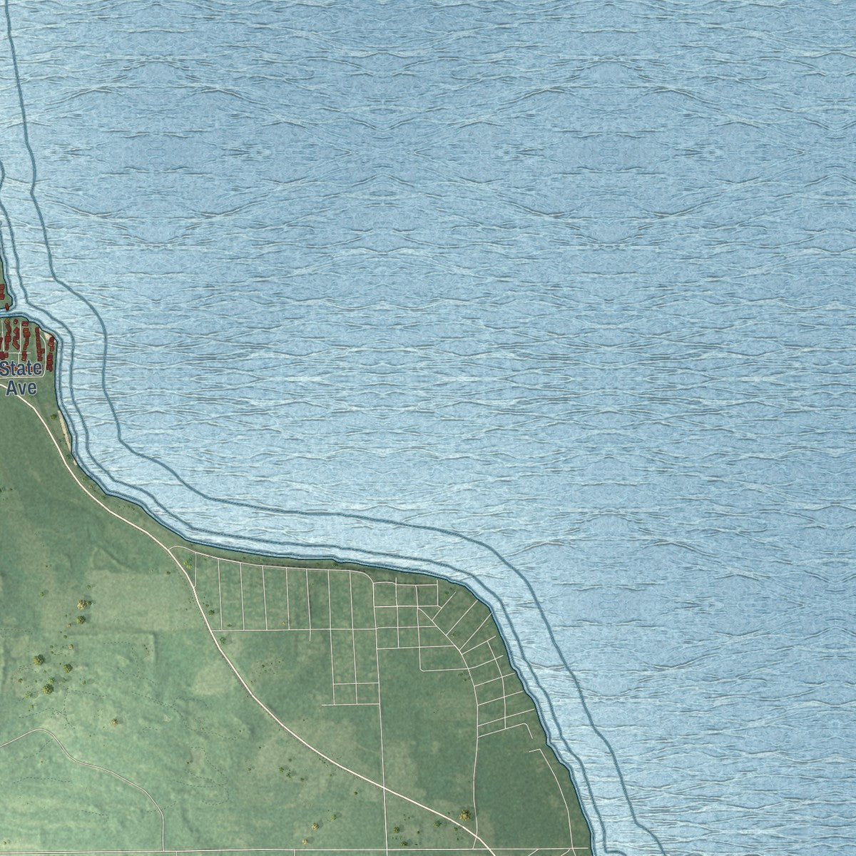 Second close-up of the map of Lake, Roscommon County, Michigan print showing more streets and buildings