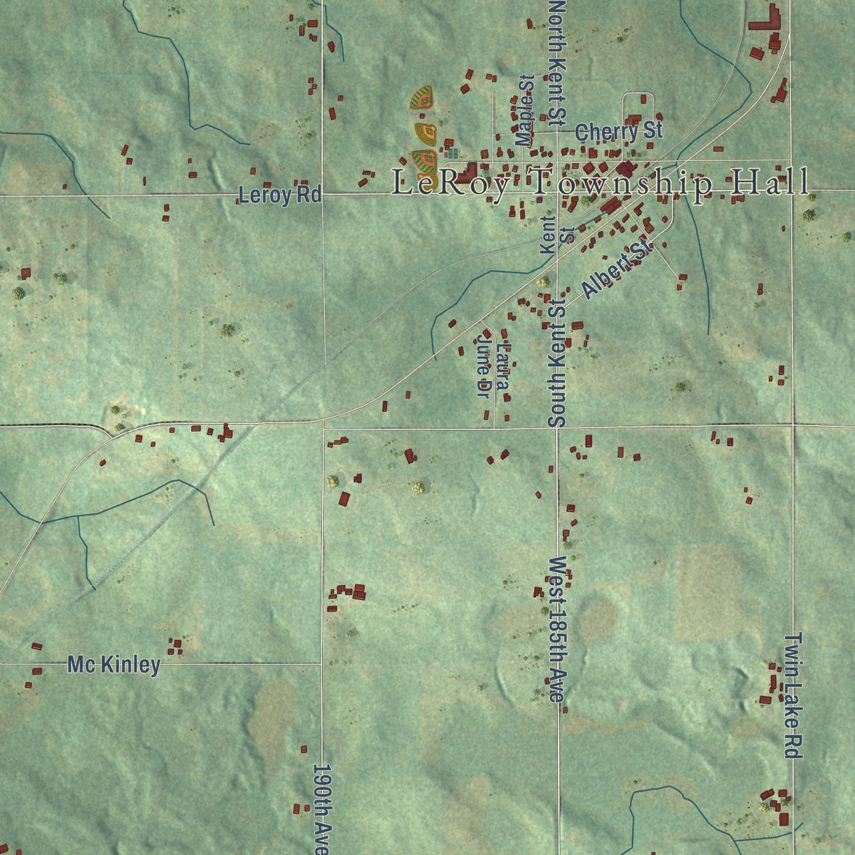 Close-up of the map of Le Roy, Osceola County, Michigan print showing street and building detail