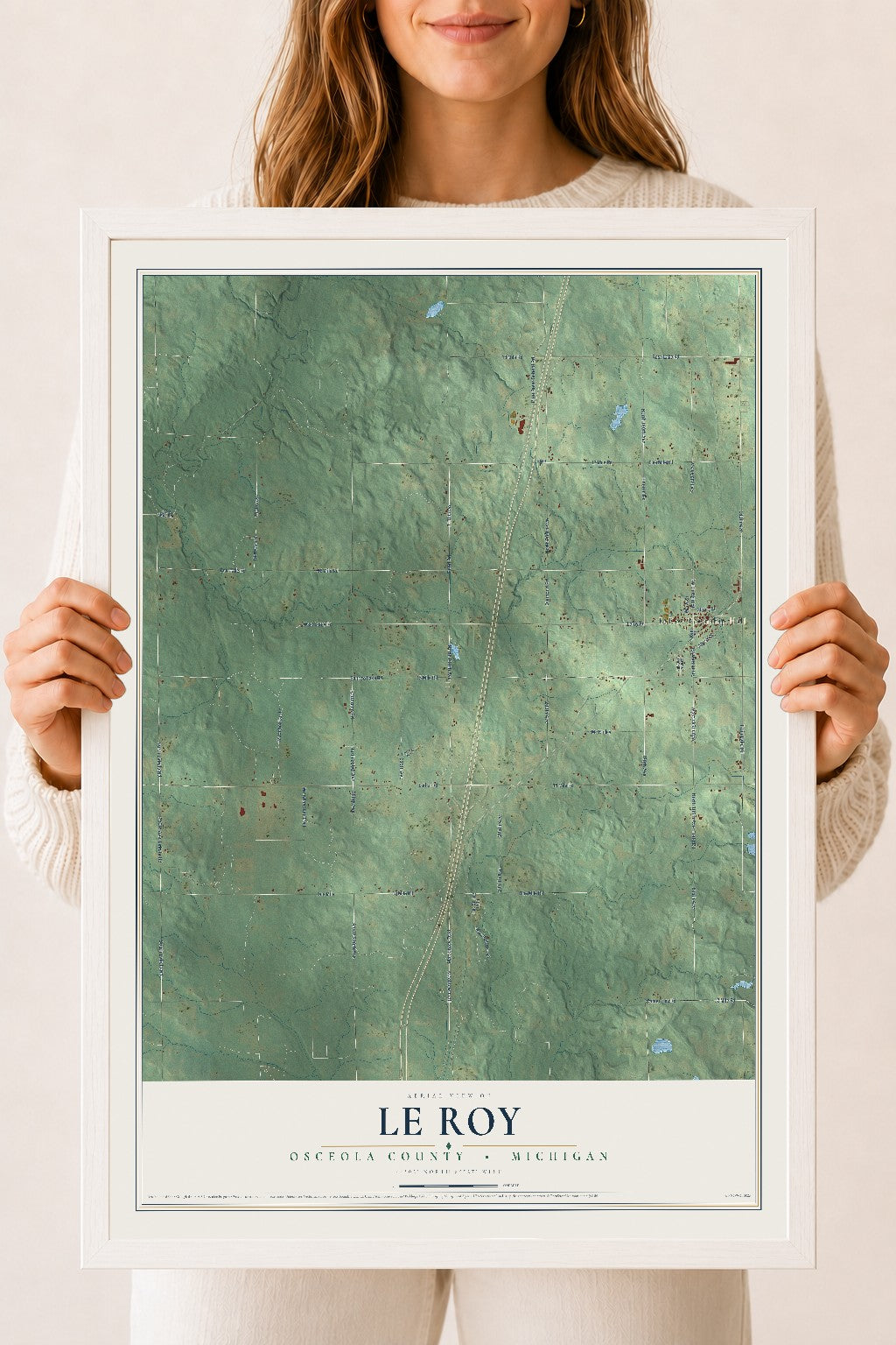 Map of Le Roy, Osceola County, Michigan, 18 x 24 inch print in a white wood frame