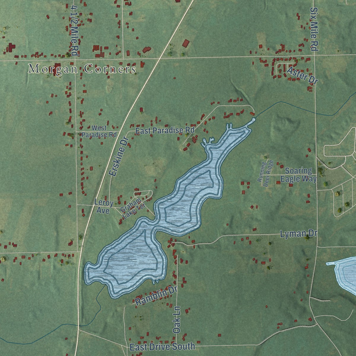 Close-up of the map of Leroy, Calhoun County, Michigan print showing street and building detail