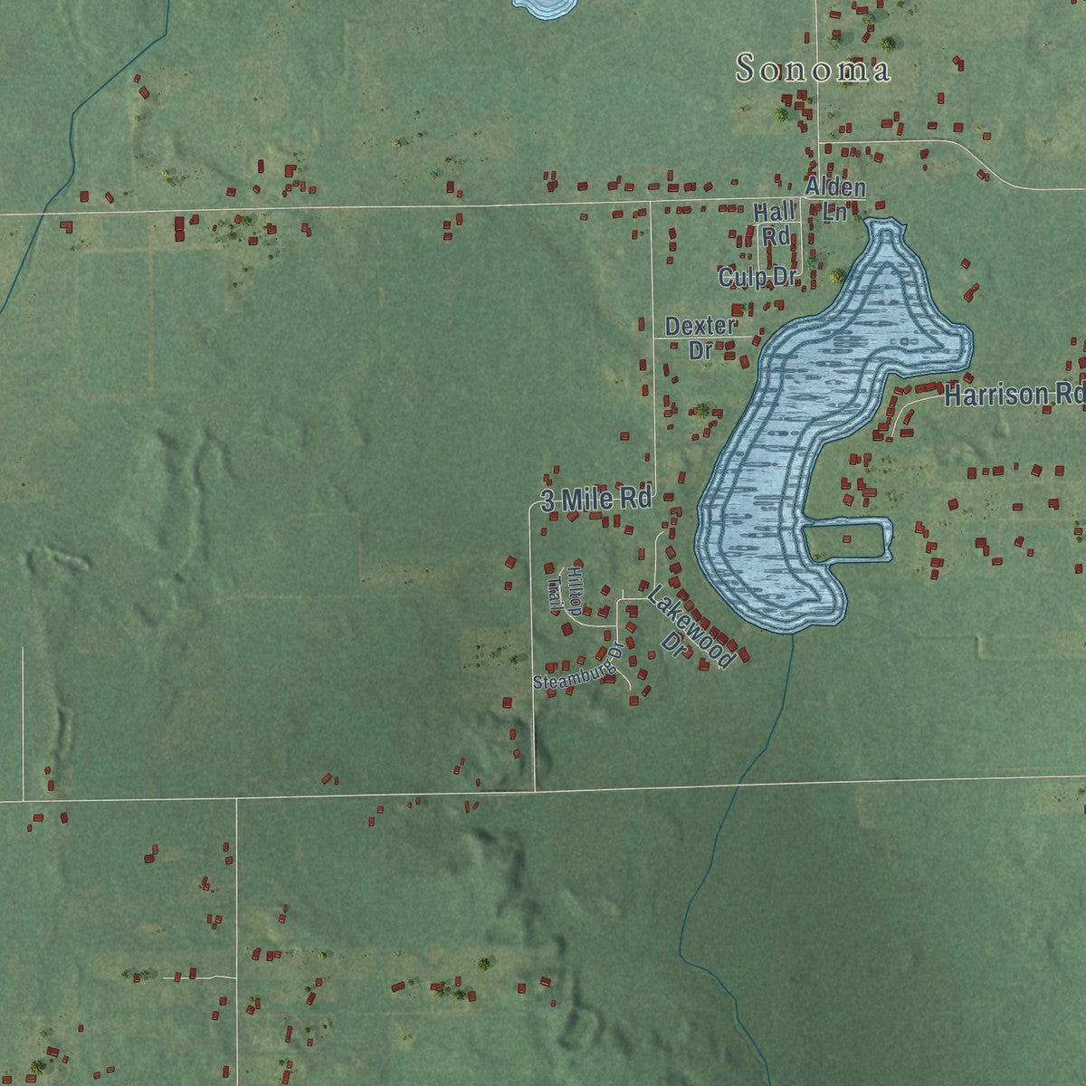 Second close-up of the map of Leroy, Calhoun County, Michigan print showing more streets and buildings